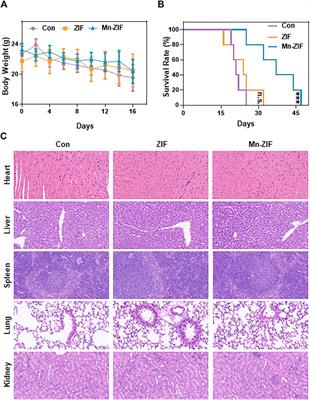 Mn-ZIF nanozymes kill tumors by generating hydroxyl radical as well as reversing the tumor microenvironment